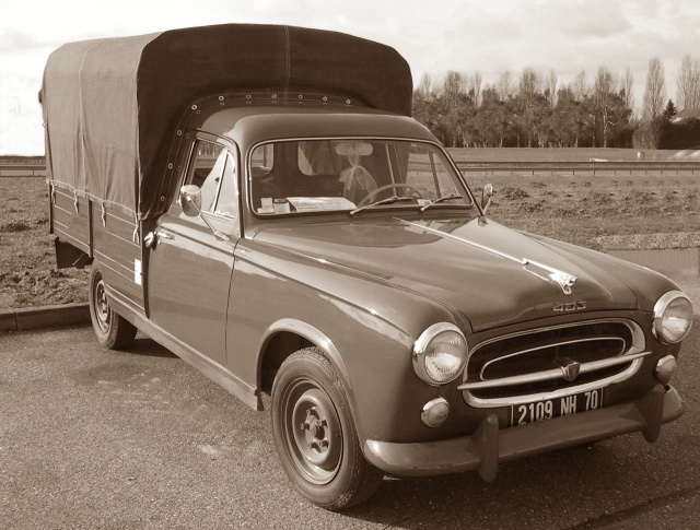 403 Camionette
